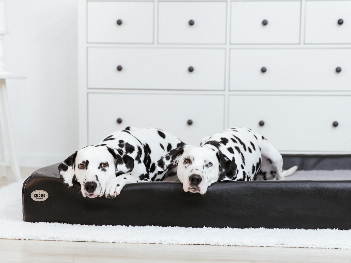 Hundebett KUDDE Kunstleder (weitere Ansicht)